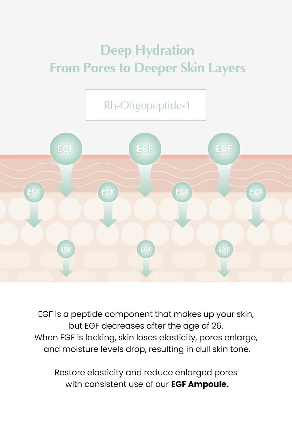 FACE FACTORY Derma EGF Ampoule 30ml