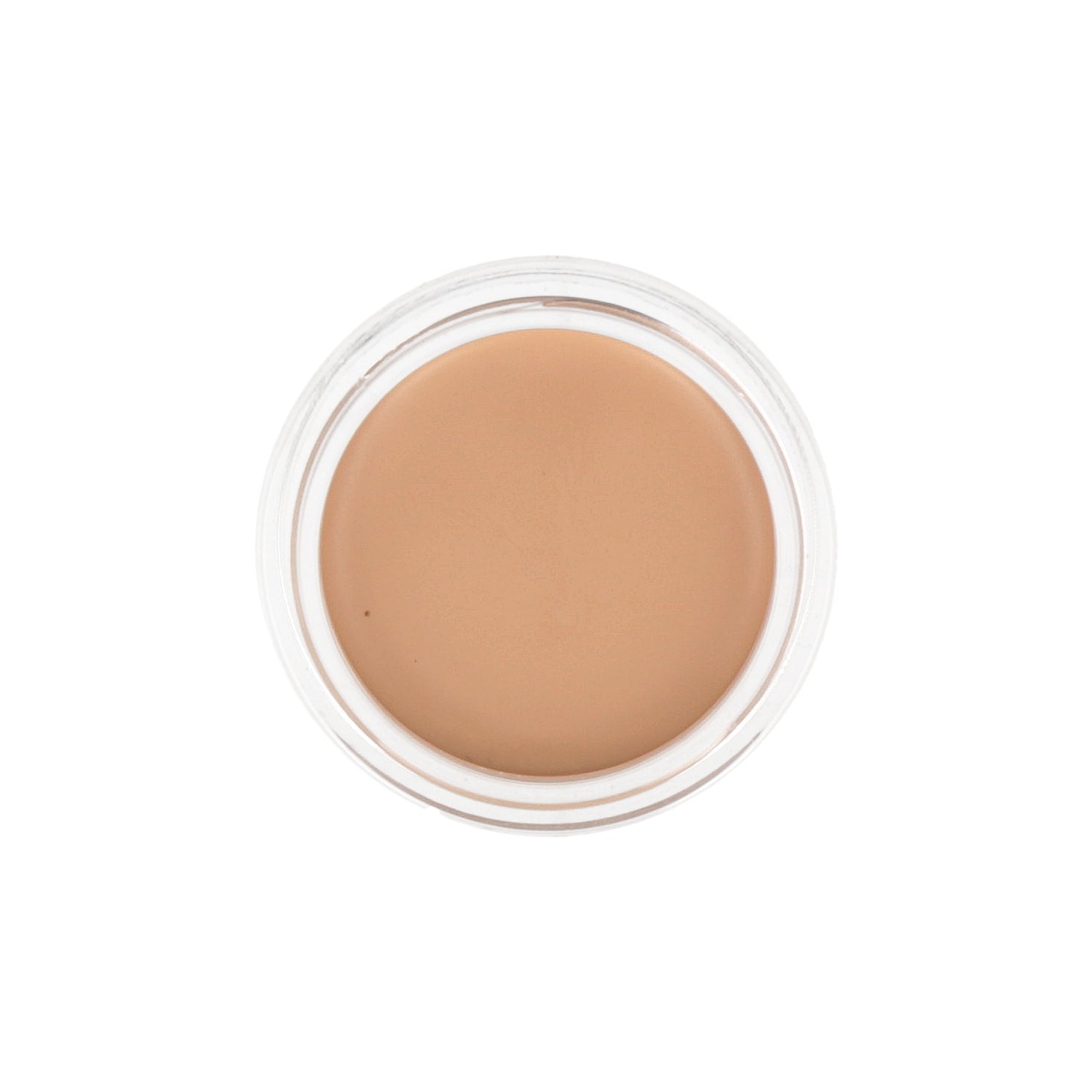 the SAEM Cover Perfection Pot Concealer 6g (Renewal) - DODOSKIN