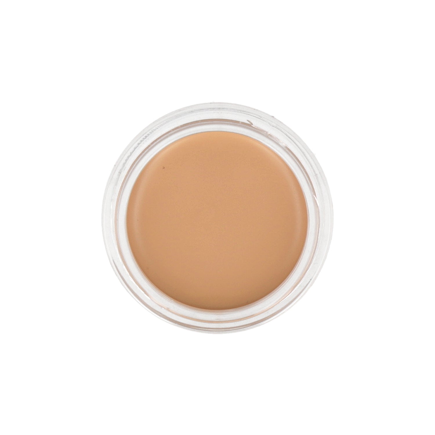 the SAEM Cover Perfection Pot Concealer 6g (Renewal) - DODOSKIN