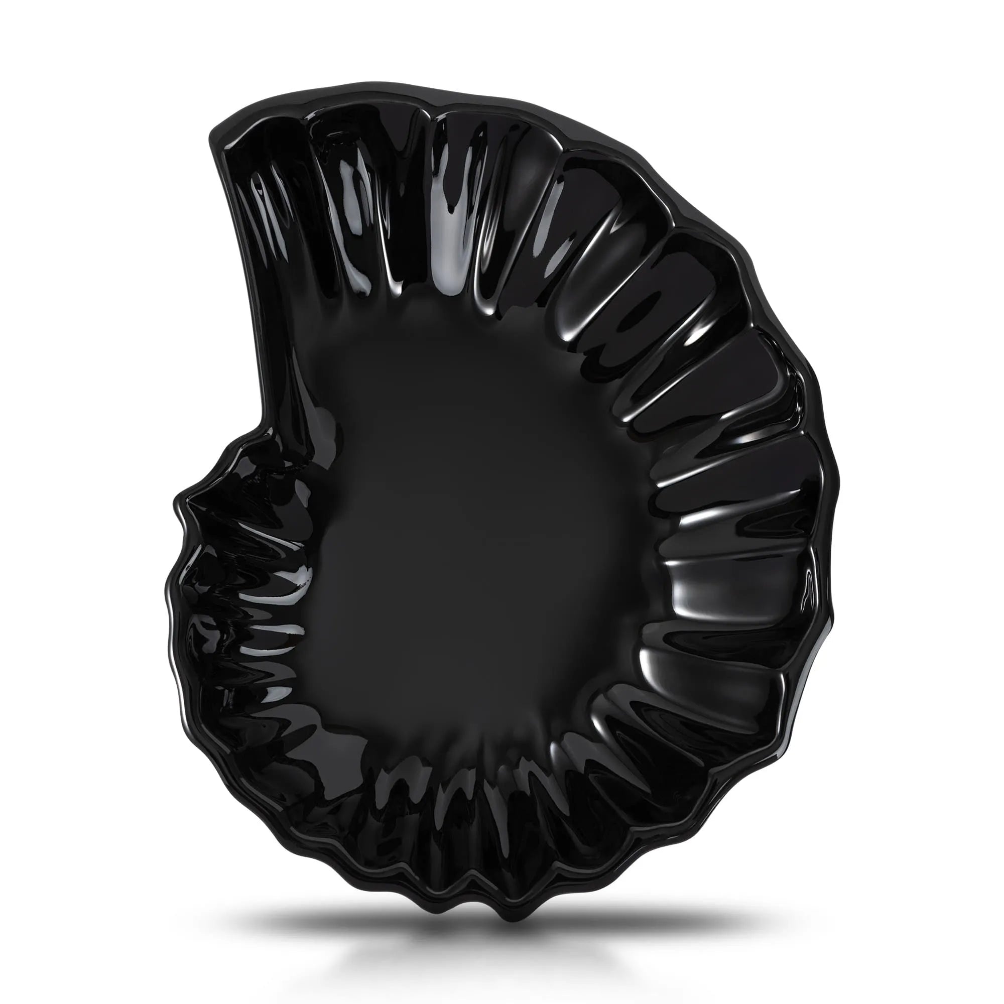 Ammonite Plate 2 Colors