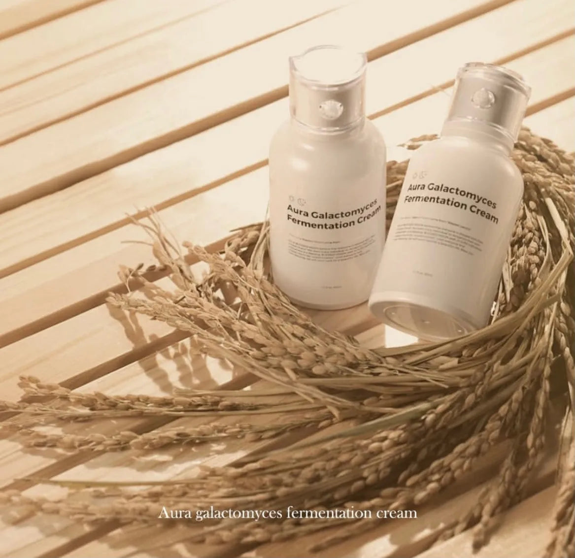 Aura Galactomyces Fermentation Cream - MOQ 80