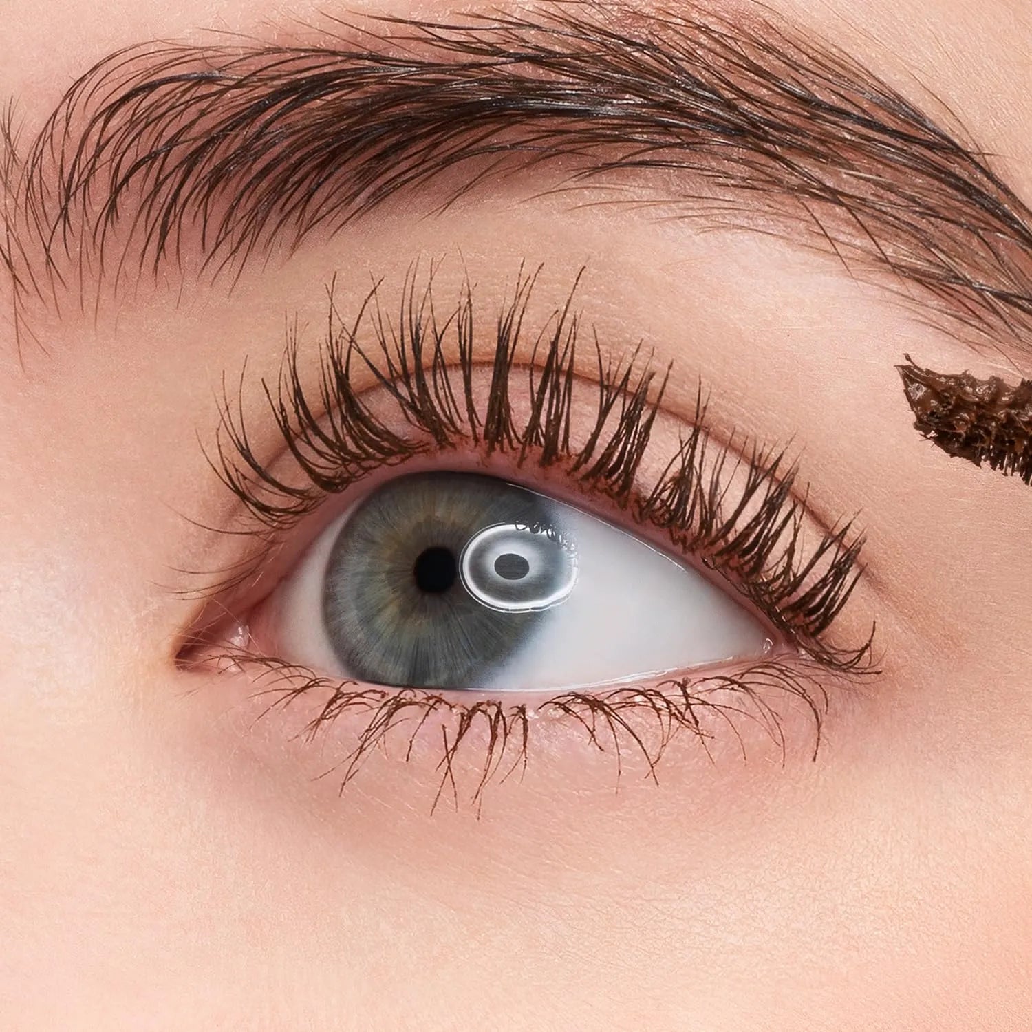 Cosnori Perfect Setting Mascara Waterproof Long And Curl 02 Cozy Brown  - 7ml - MOQ 100