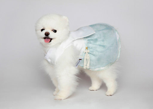 Maison de Dog White Garam Dangui Set (Mint, size- 2XL) Dog Hanbok- MOQ 1