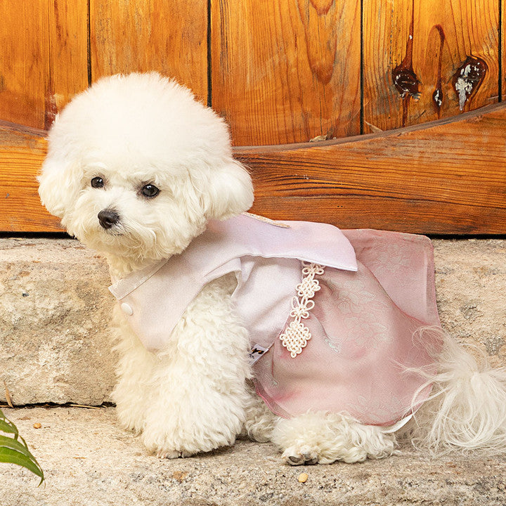 Maison de Dog Han-gyeol-cho-ryeon Dangui Set Dog Hanbok (2XL) - MOQ 1