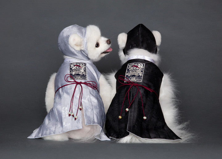 Maison de Dog Joseon Cool Tone Cheollik Black Dog Hanbok(M) - MOQ 1