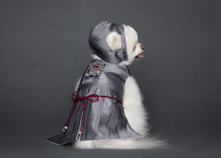 Maison de Dog Joseon Cool Tone Cheollik Black Dog Hanbok(M) - MOQ 1