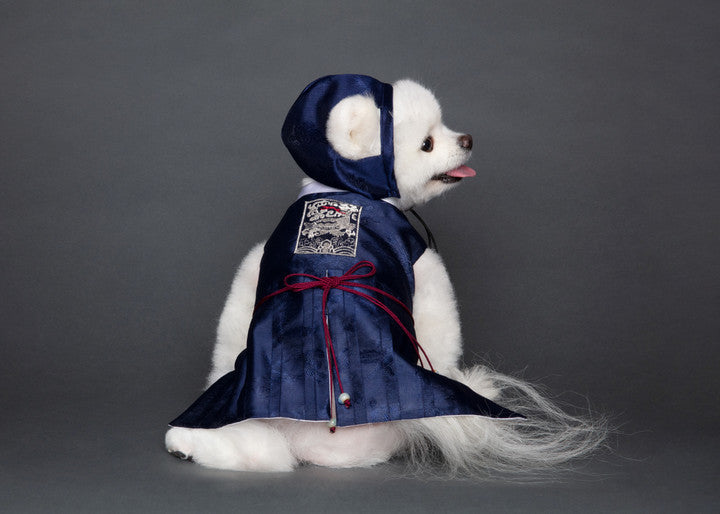 Maison de Dog Joseon Cool Tone Cheollik Black Dog Hanbok(M) - MOQ 1
