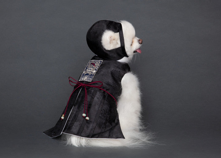 Maison de Dog Joseon Cool Tone Cheollik Black Dog Hanbok(M) - MOQ 1