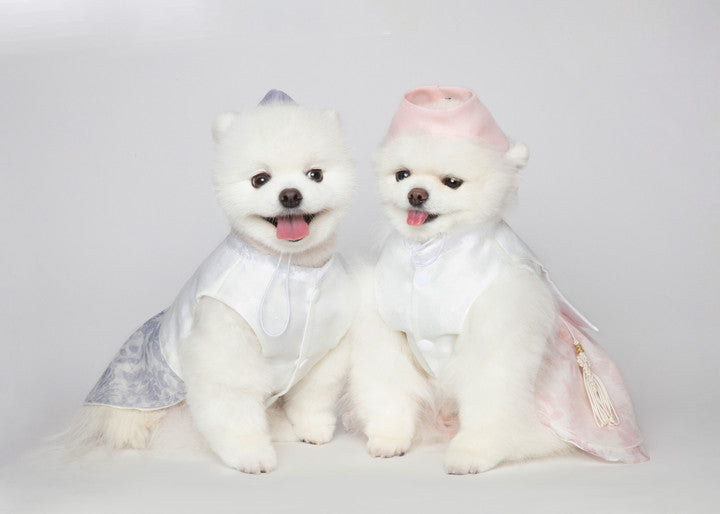 Maison de Dog Puppy Hanbok Haesol Kwaeja- Mint Khakhi (L) - MOQ 1