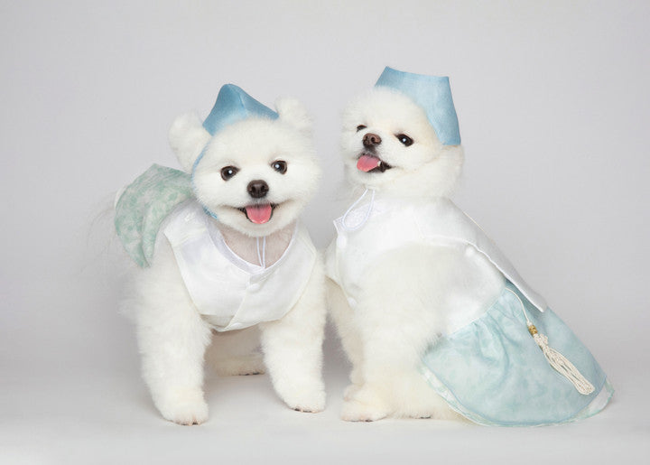 Maison de Dog Puppy Hanbok Haesol Kwaeja- Mint Khakhi (L) - MOQ 1