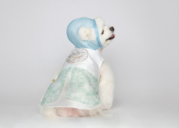 Maison de Dog Puppy Hanbok Haesol Kwaeja- Mint Khakhi (L) - MOQ 1