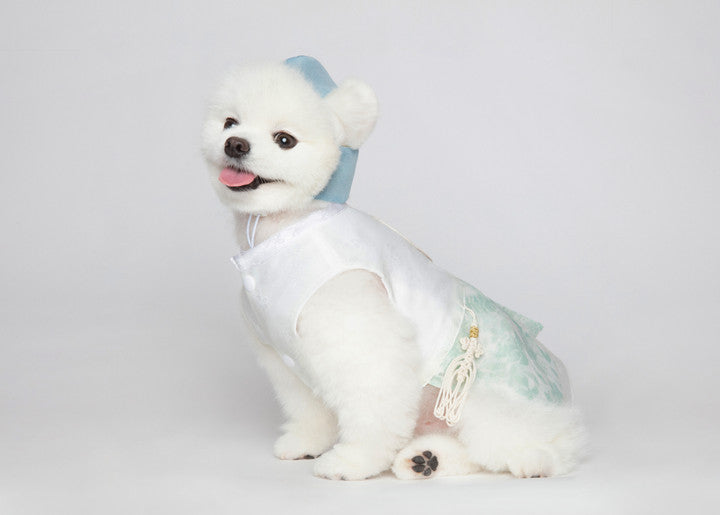 Maison de Dog Puppy Hanbok Haesol Kwaeja- Mint Khakhi (L) - MOQ 1