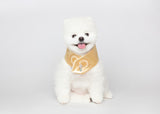 Maison de Dog Puppy Cape Joseon Top(Yellow,L) - MOQ 1