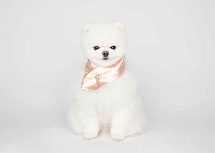 Maison de Dog Puppy Cape Joseon Top(Pink,L) - MOQ 1