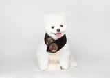 Maison de Dog Puppy Cape Joseon Top(Black,M) - MOQ 1