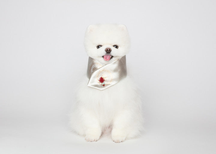 Maison de Dog Puppy Cape Joseon Top(Pink,L) - MOQ 1