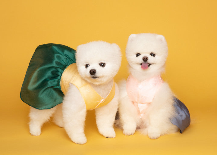 Maison de Dog Puppy Hanbok Chorong (Pink,2XL)- MOQ 1