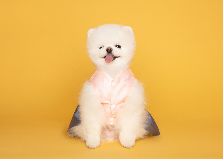 Maison de Dog Puppy Hanbok Chorong (Pink,2XL)- MOQ 1