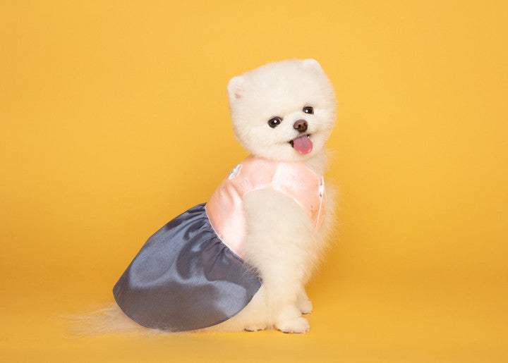Maison de Dog Puppy Hanbok Chorong (Pink,2XL)- MOQ 1