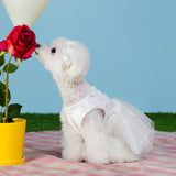 Maison de Dog Flower Wedding Dress Dog Clothes(S) - MOQ 1