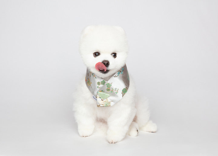 Maison de Dog Puppy Cape Yeonhwa Chilsaek- Pink(M) - MOQ 1