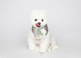 Maison de Dog Puppy Cape Yeonhwa Chilsaek- Gray(M) - MOQ 1