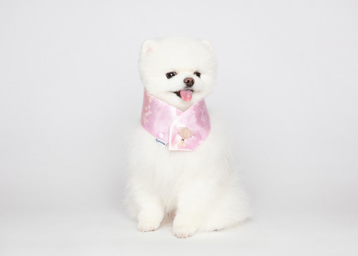 Maison de Dog Puppy Cape Yeonhwa Chilsaek- Pink(M) - MOQ 1