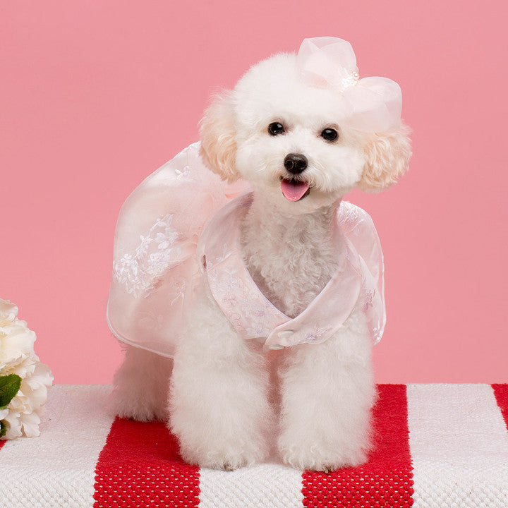 Maison de Dog Peach Dress Dog Clothes Hanbok(M) - MOQ 1
