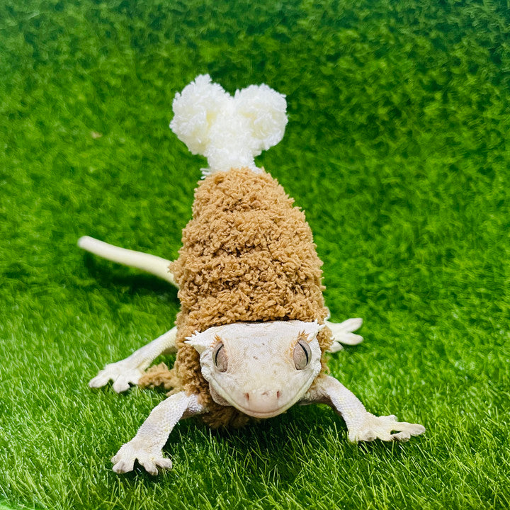 Meat Hat (for small animals) - MOQ 1