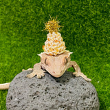 1+1 Glitter Cone (for small animals only)- MOQ 1