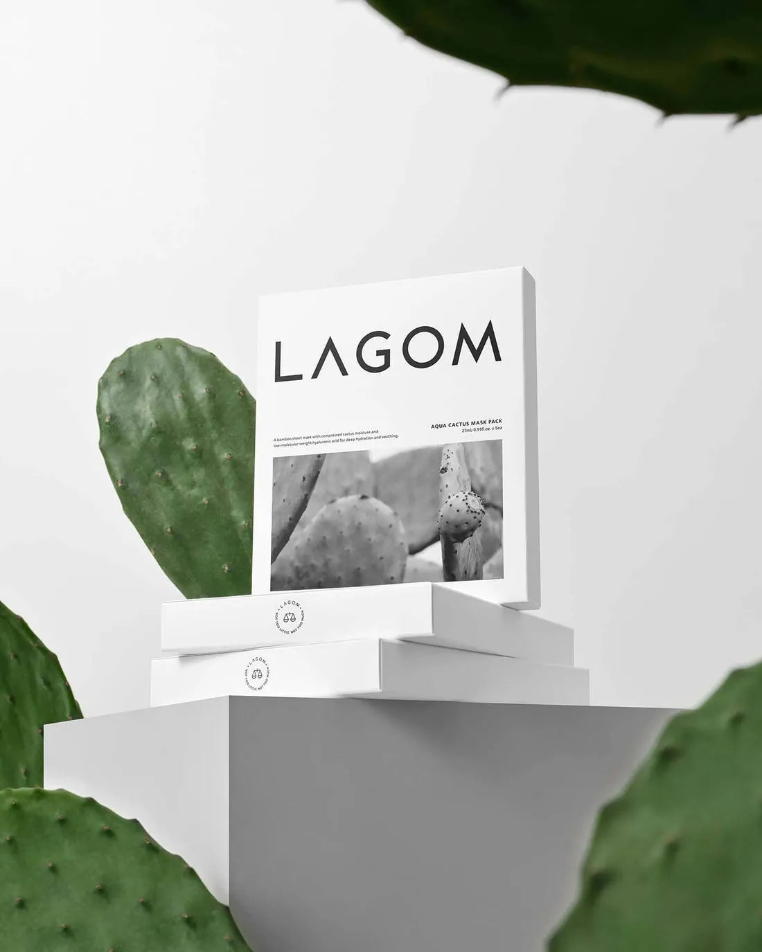 LAGOM AQUA CACTUS MASK PACK - MOQ 30