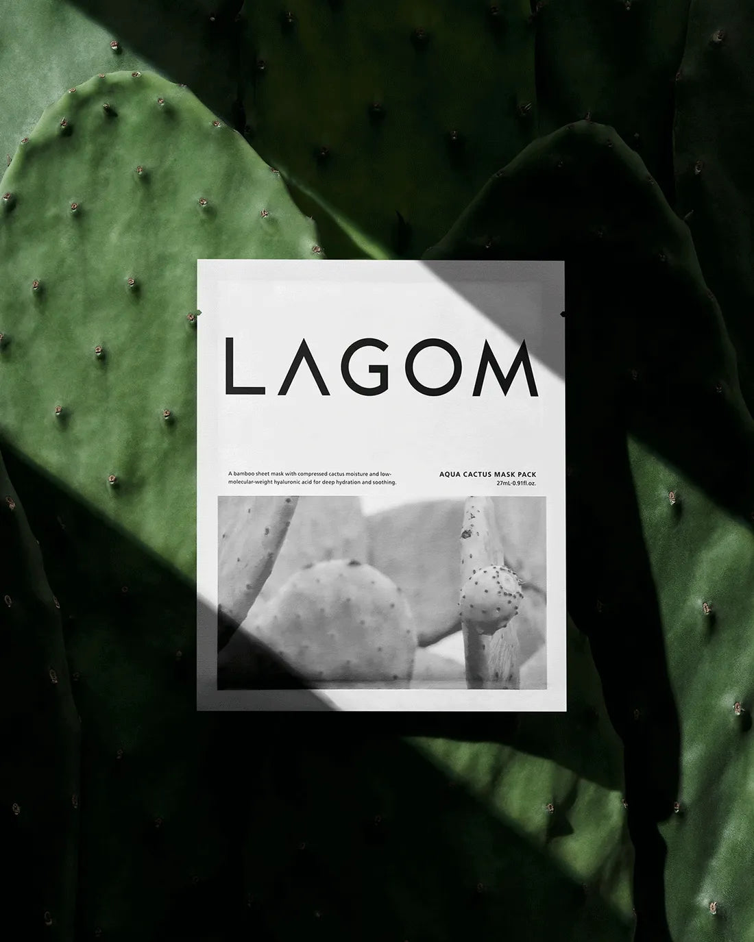 LAGOM AQUA CACTUS MASK PACK - MOQ 30