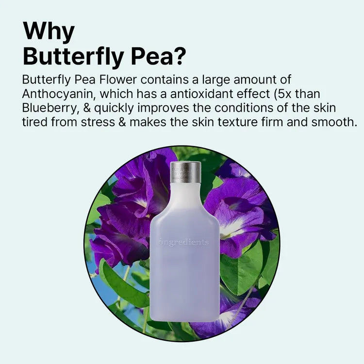 Ongredients Anti-Wrinkle Essence - MOQ 50.00