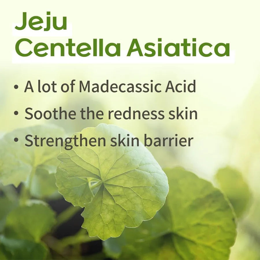 Ongredients Jeju Cica Cleansing Ball - MOQ 30.00