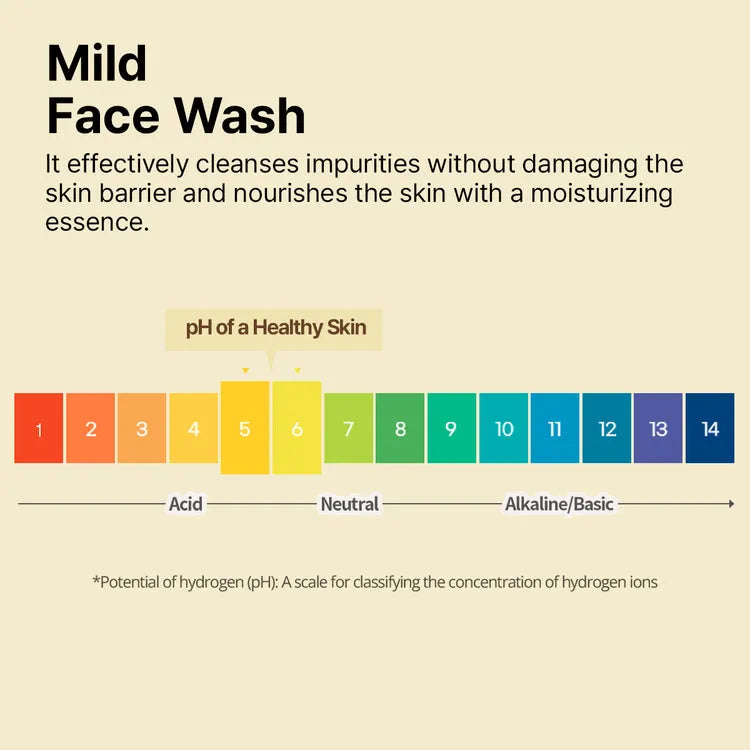 Ongredients Jeju Green Tea Cleansing Ball - MOQ 30.00