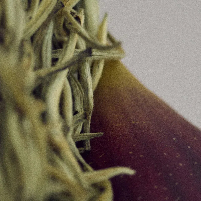 Pfm Gaiac Flower Lotion 300ml - MOQ 50