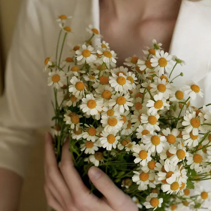 Premium Diffuser 2EA - Romantic Lavender - MOQ 8