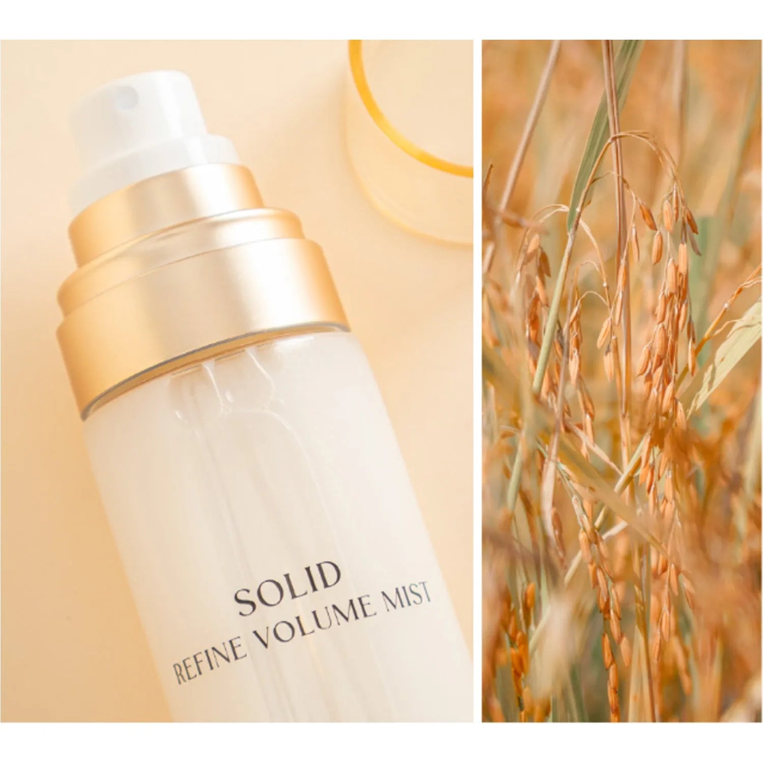 Solid Refine Volume Mist - MOQ 6