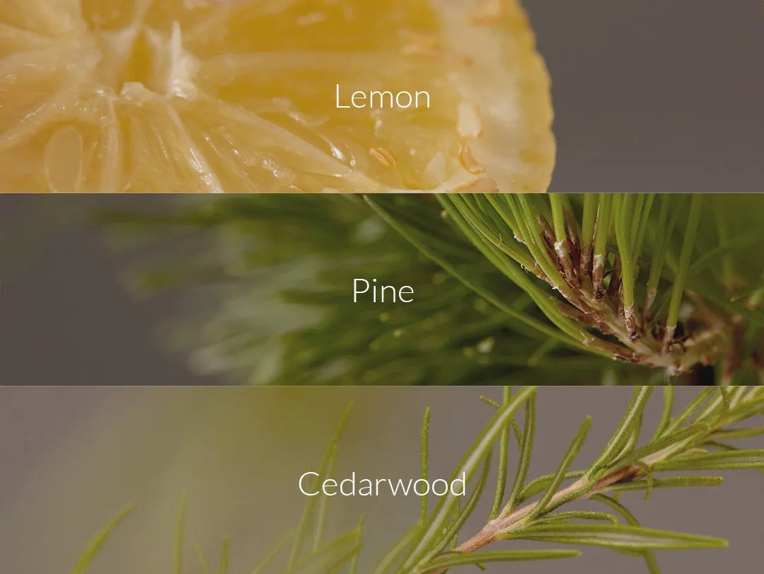 Solid Volume Body Ampoule - MOQ 6