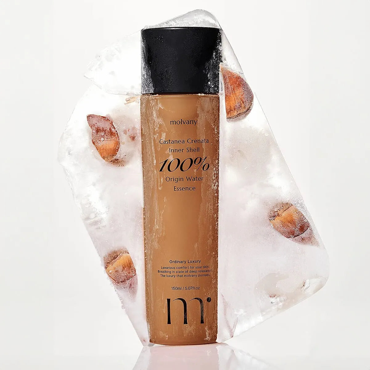 molvany Castanea Crenata Inner Shell Origin Water Essence