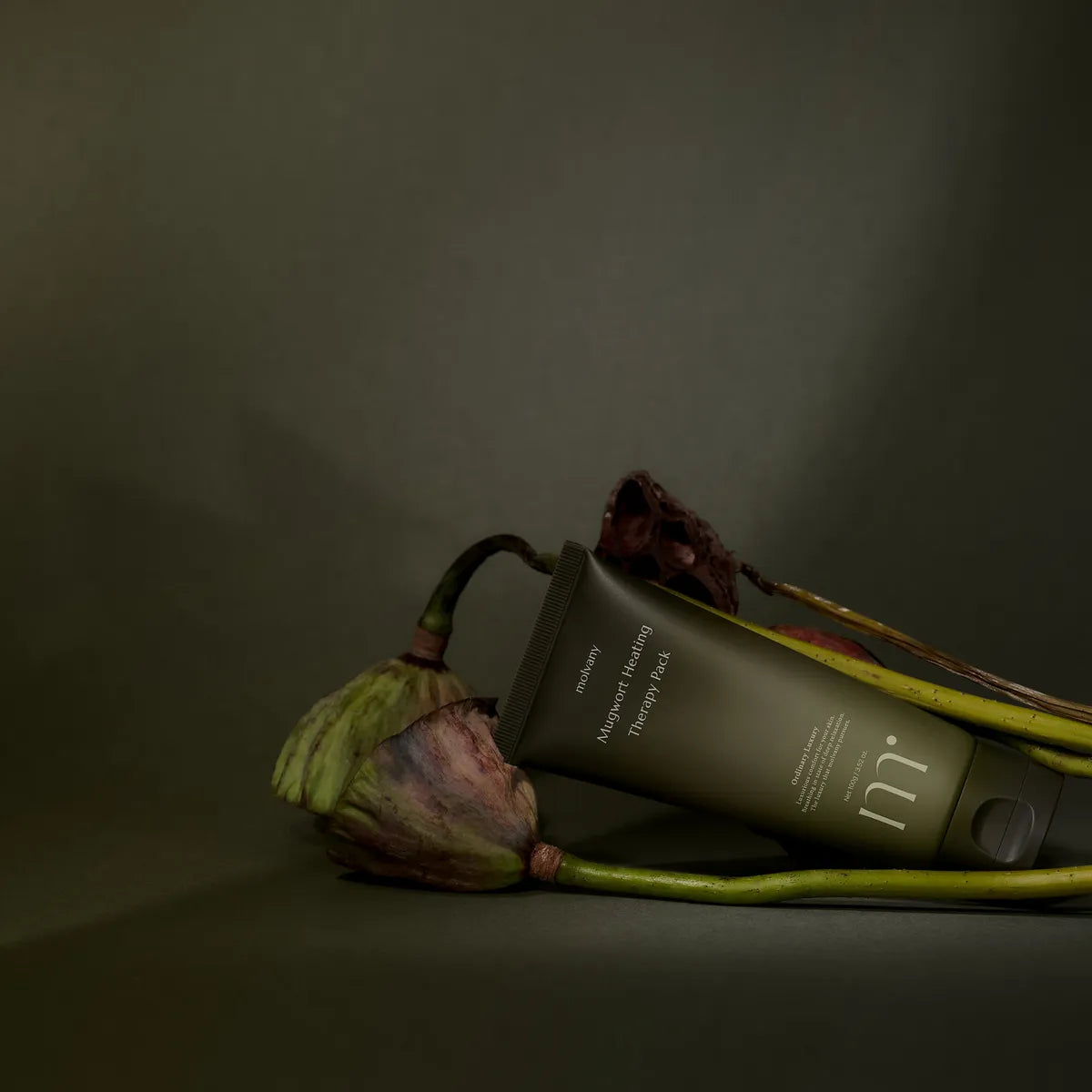 molvany Mugwort Heating Therapy pack