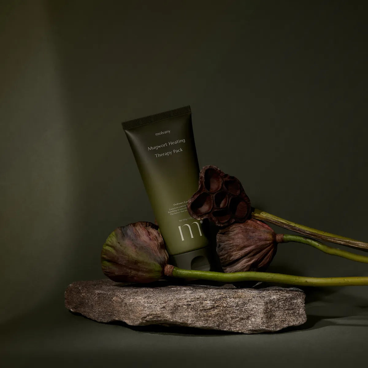 molvany Mugwort Heating Therapy pack