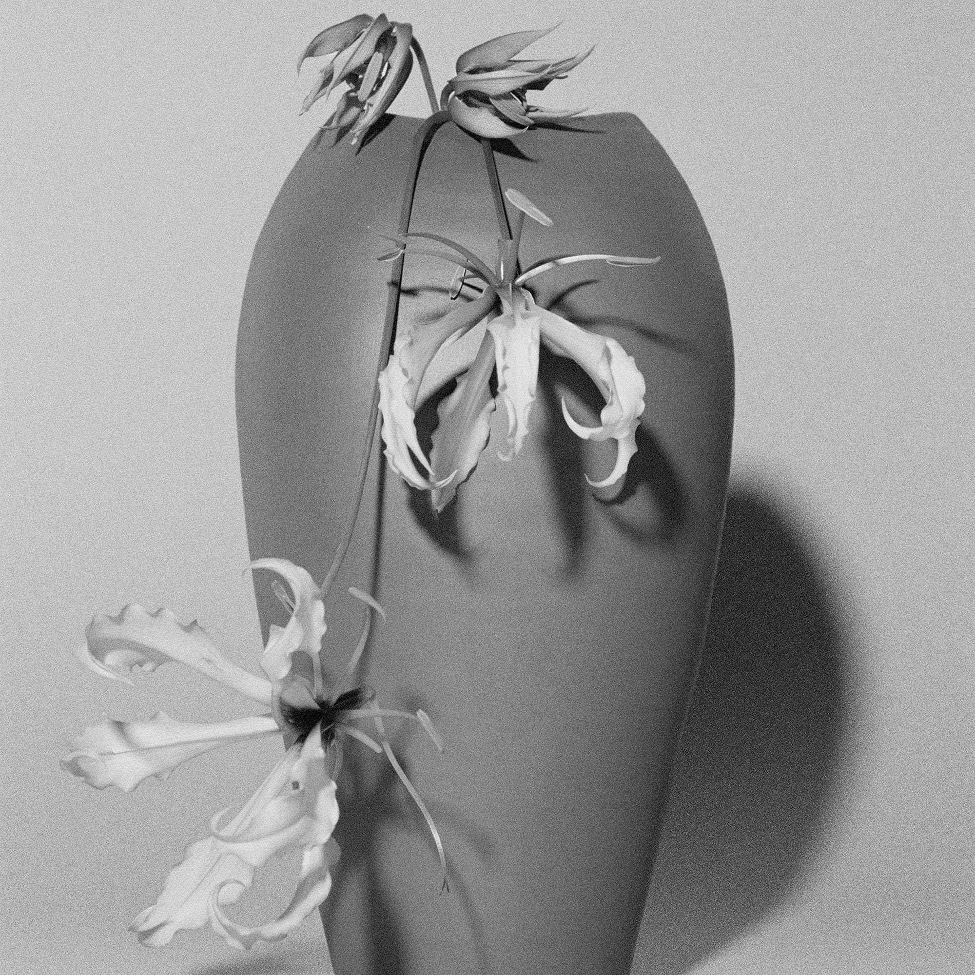 Pfm Bois Dylang Edp 50ml - MOQ 50