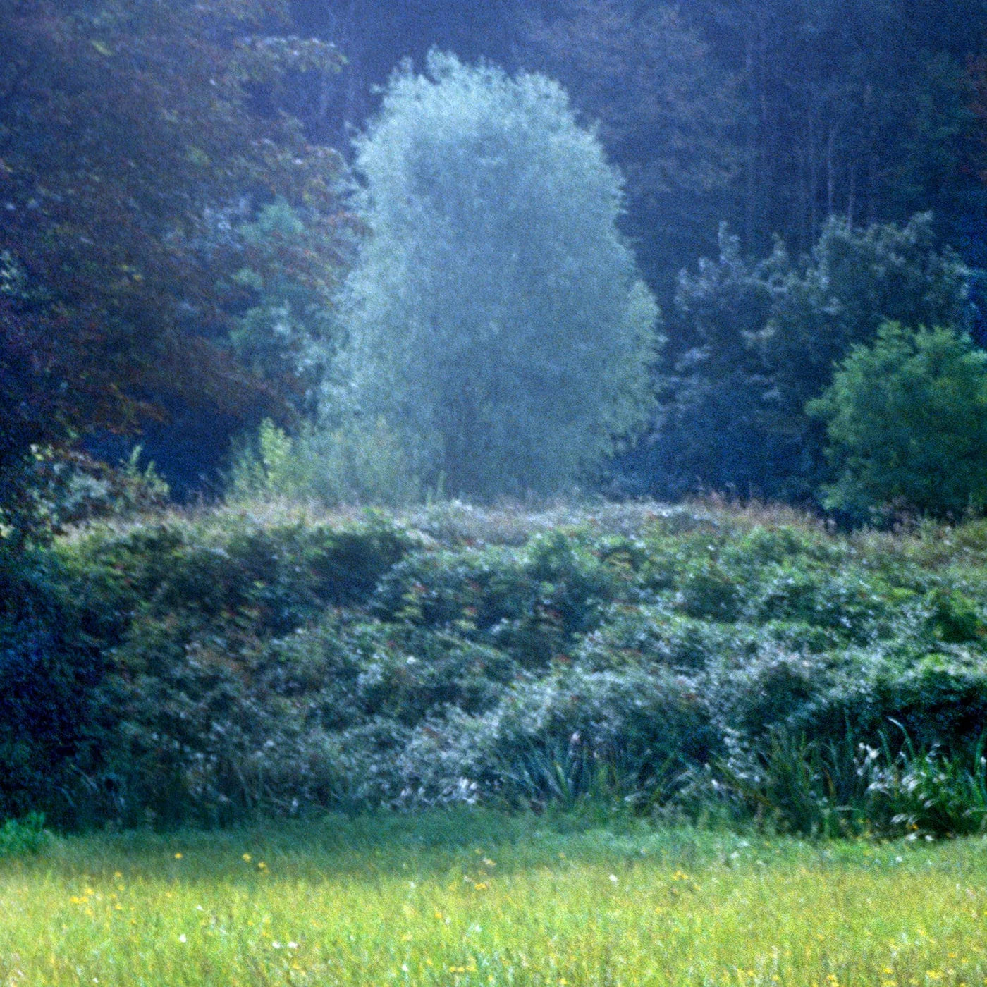 Pfm For Rest Portable Edp - MOQ 50