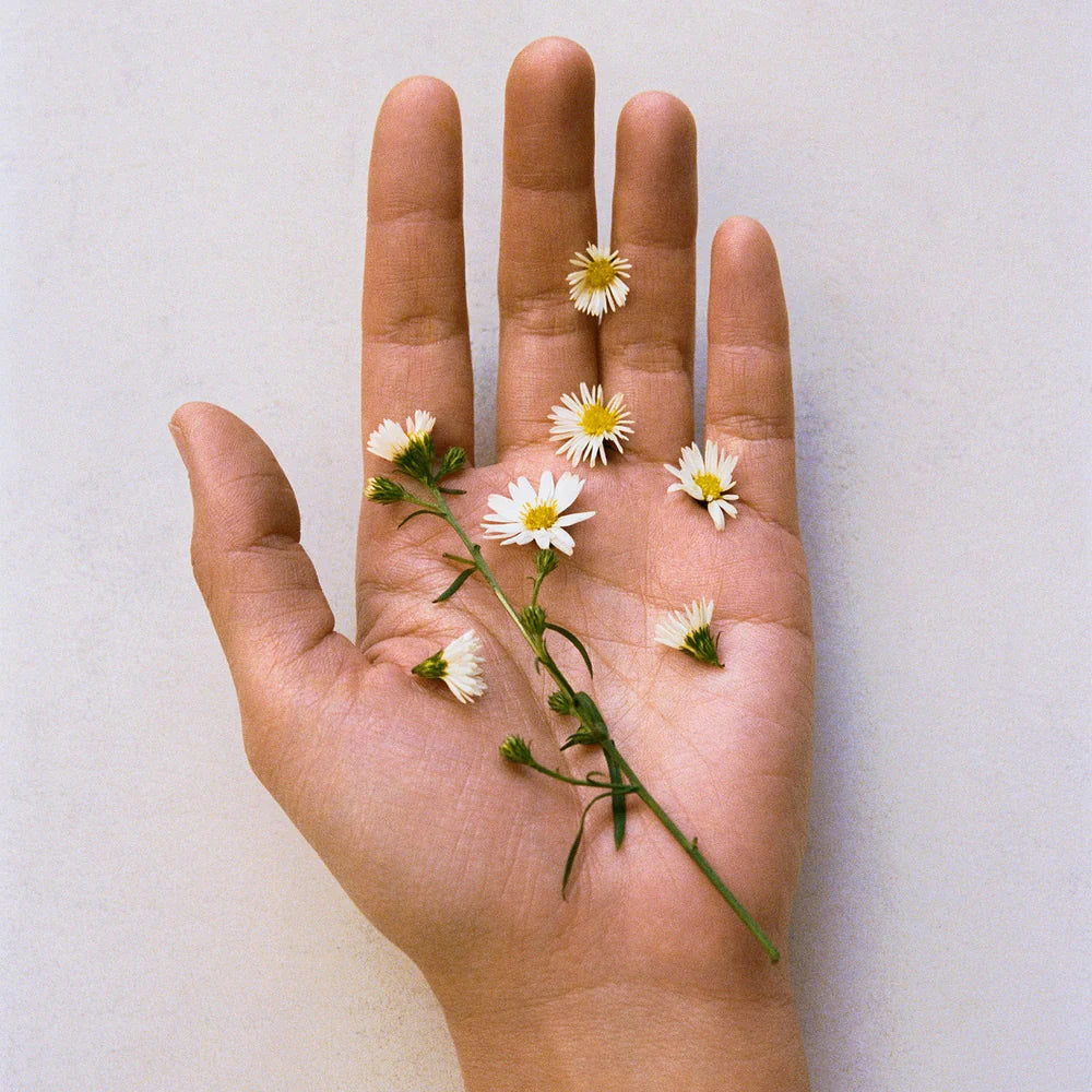 Pfm Young Memories Edp 50ml - MOQ 50