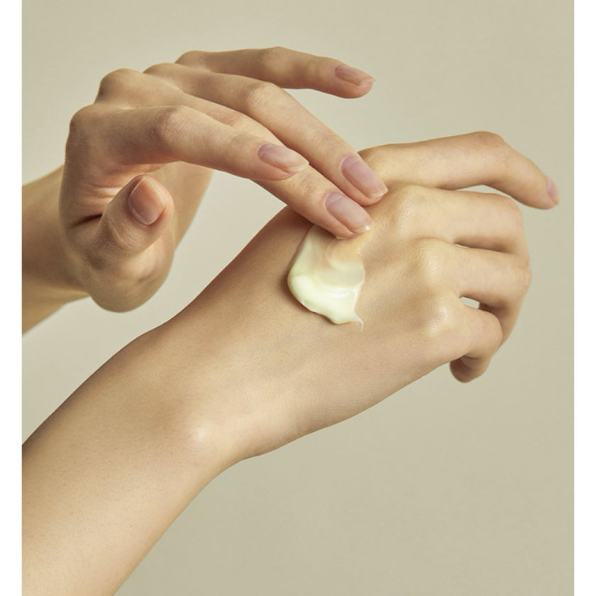 Torriden SOLID IN Ceramide Cream - MOQ 42