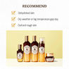 SKINFOOD Royal Honey Propolis Enrich Emulsion 160ml - DODOSKIN