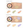 the SAEM Cover Perfection Triple Pot Concealer - Dodoskin