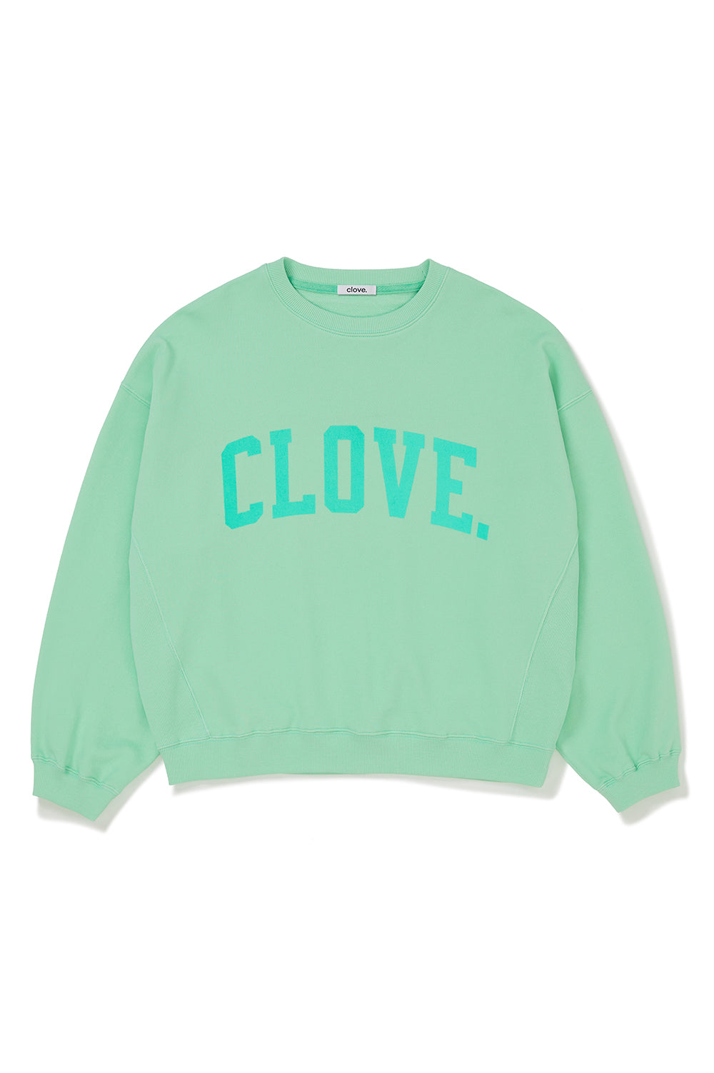 Arch Logo Sweatshirt - Mint