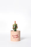 Romantic Edition S + Pink Hurray Cactus